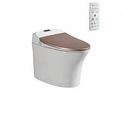bon-cau-viglacera-thong-minh-v-smart-v93-gw