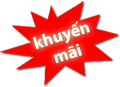 dai-thanh-vigo-150-70-10